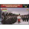 Austrian Grenadiers Winter Standing Shoulder Arms