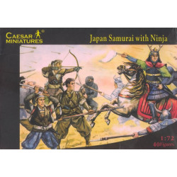 Japanese Samurai with Ninja
