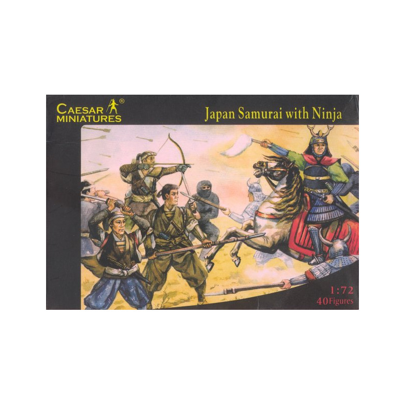 Japanese Samurai with Ninja