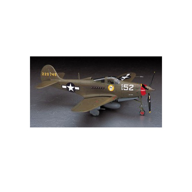P-39Q/N AIRACOBRA 1/48 - Hasegawa