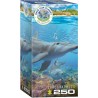 Puzzle 250p Dauphins - Eurographics