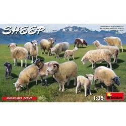 Sheep 1/35 - MiniArt