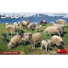 Sheep 1/35 - MiniArt