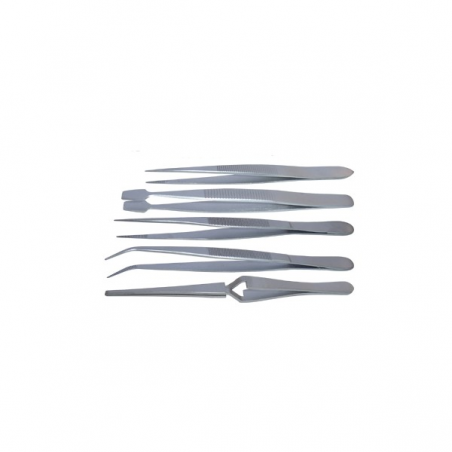 Set de 5 Pinces - Holi