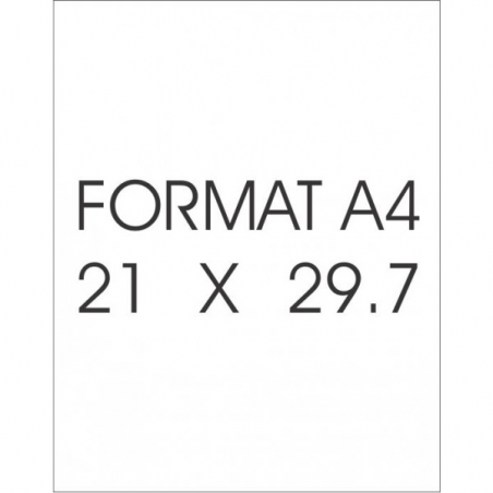 Feuilles à Décals Blanches A4 (x3) - Imprimante Laser- Holi