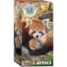 Puzzle 250p Pandas Roux - Eurographics
