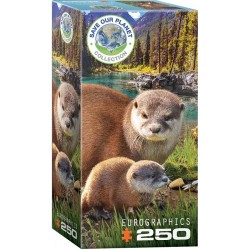 Puzzle 250p Loutres -...