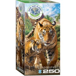 Puzzle 250p Tigres -...