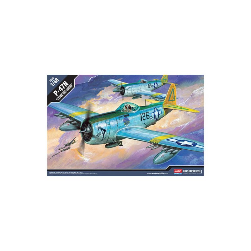 P-47N Expected Goose 1/48 - Academy