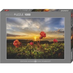 Puzzle 1000p Cloudberries - Heye