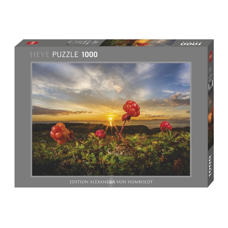 Puzzle 1000p Cloudberries - Heye