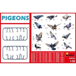 Pigeons 1/35 - Miniart