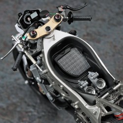 Honda RS250RW "2009 WGP 250 Champion" BK1 1/12 - Hasegawa