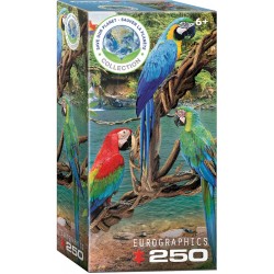 Puzzle 250p Aras -...