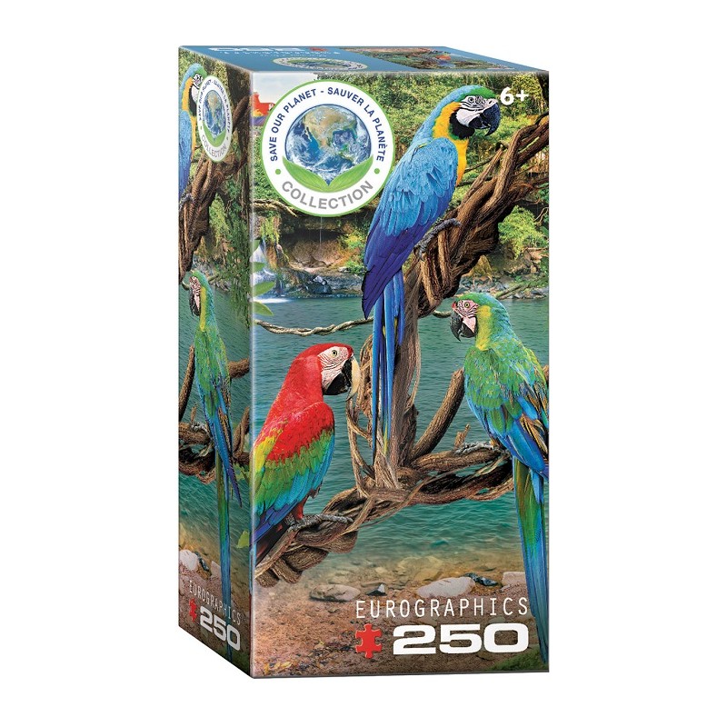 Puzzle 250p Aras - Eurographics