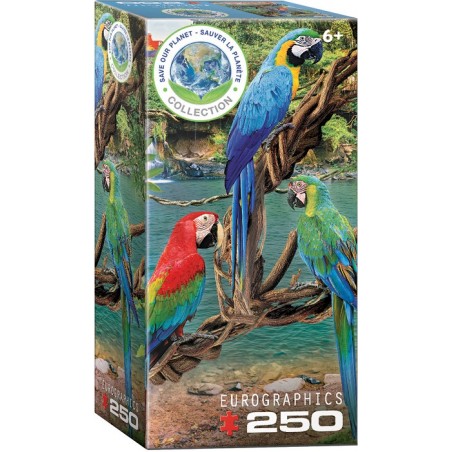 Puzzle 250p Aras - Eurographics