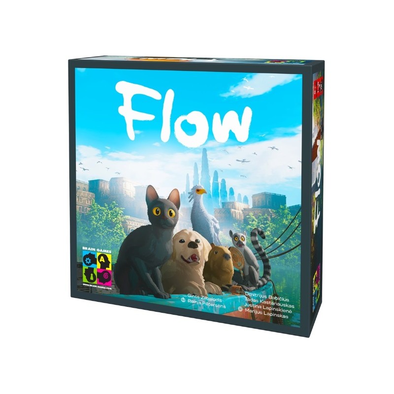 Flow - BrainGames