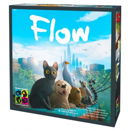Flow - BrainGames