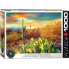 Puzzle 1000p Rêves du Désert - Eurographics