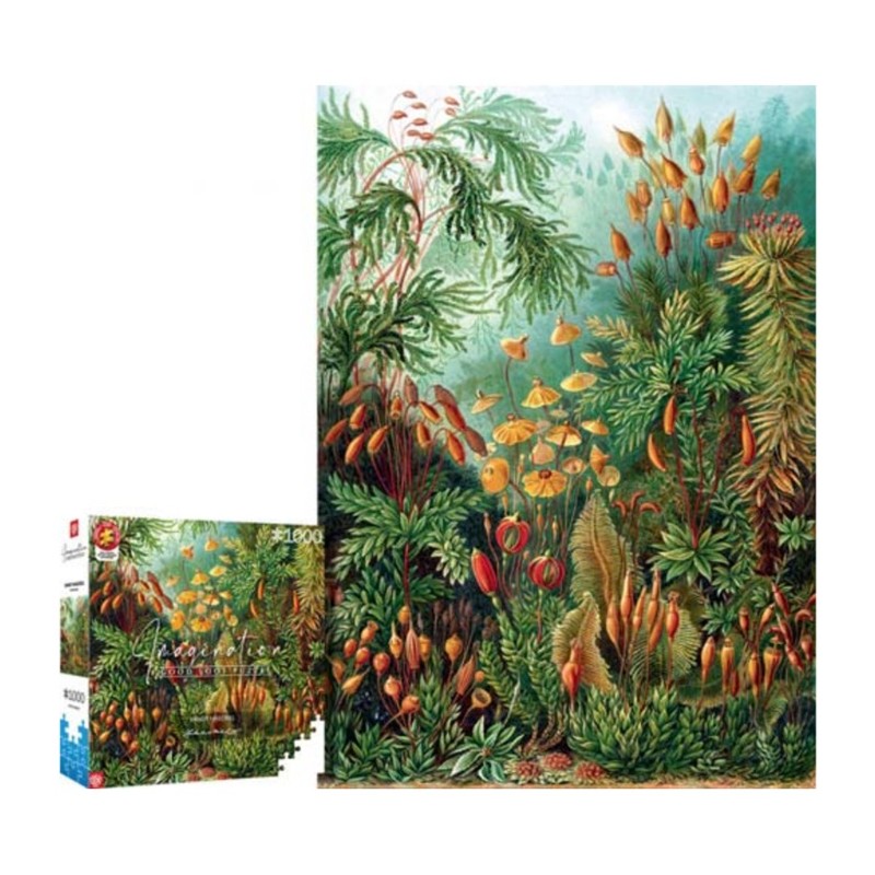 Puzzle 1000p Muscinae - GoodLoot