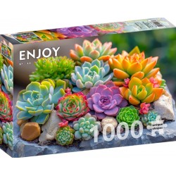 Puzzle 1000p Succulents -...