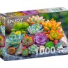 Puzzle 1000p Succulents - EnjoyPuzzle