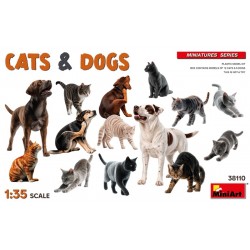 Cats & Dogs 1/35 - Miniart