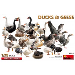Ducks & Geese 1/35 - Miniart