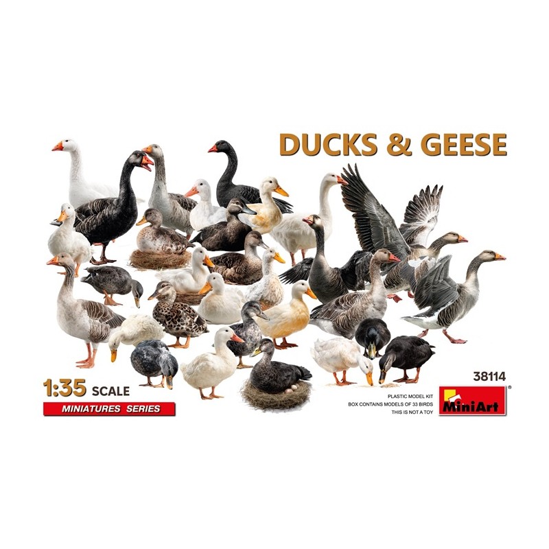 Ducks & Geese 1/35 - Miniart