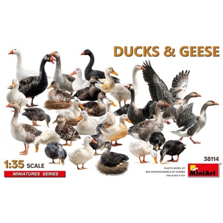 Ducks & Geese 1/35 - Miniart