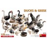 Ducks & Geese 1/35 - Miniart